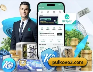 开云官方网页版入口 APP 深度功能